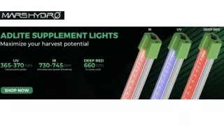 Supplemental LED Grow Lights from Mars Hydro