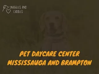 Pet Daycare Center Mississauga and Brampton | Snuggles & Cuddles