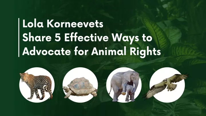 lola korneevets share 5 effective ways