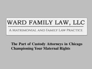 The Part of Custody Attorneys in Chicago Championing Your Maternal Rights