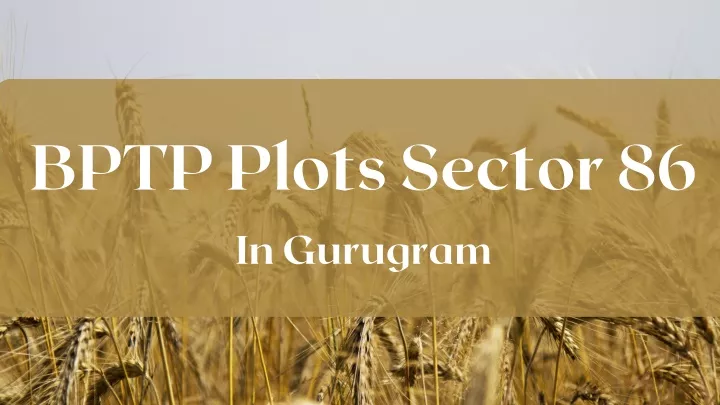 bptp plots sector 86