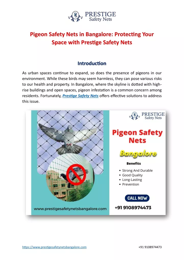 pigeon safety nets in bangalore protecting your