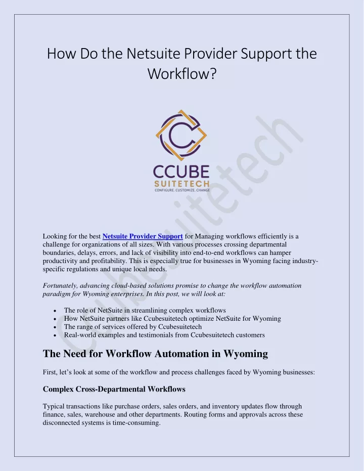 how do the netsuite provider support the workflow