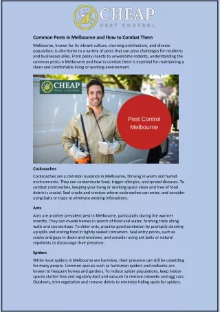 common pests in melbourne and how to combat them