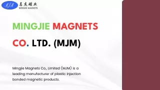 Top-Quality Injection Molding Magnets from China: Order Now!