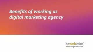 benefits of working as digital marketing agency