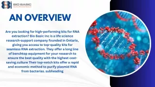 Top Destination for Affordable RNA Extraction Kits