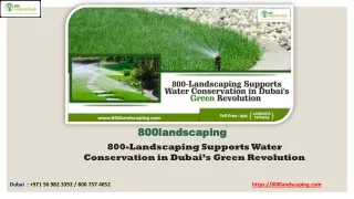 800-Landscaping Supports Water Conservation in Dubai’s Green Revolution