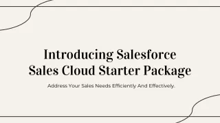 Salesforce Sales Cloud Stater Package by Fexle : Your Secret to Business Growth