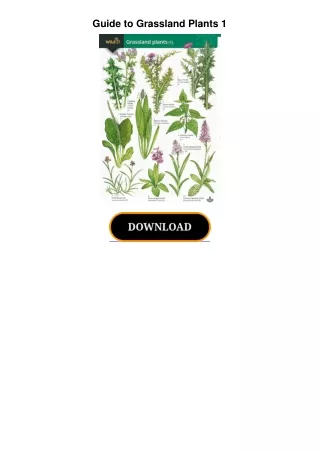 Guide-to-Grassland-Plants-1