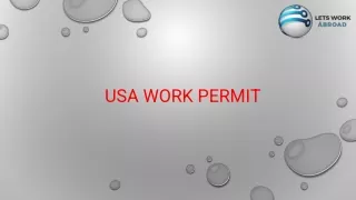 USA Work Permit-LWA
