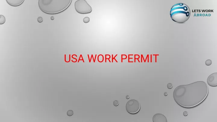usa work permit