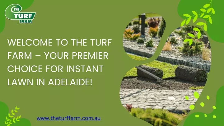 welcome to the turf farm your premier choice