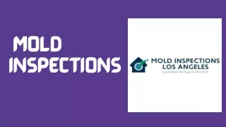 Comprehensive Mold Inspection Services for a Healthy Home Environment
