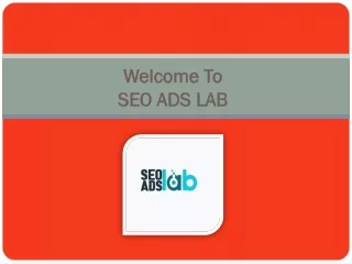 Professional SEO Consulting in Taupo | Affordable SEO Service| SEO Ads Lab