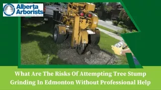 What Are The Risks Of Attempting Tree Stump Grinding In Edmonton Without Professional Help