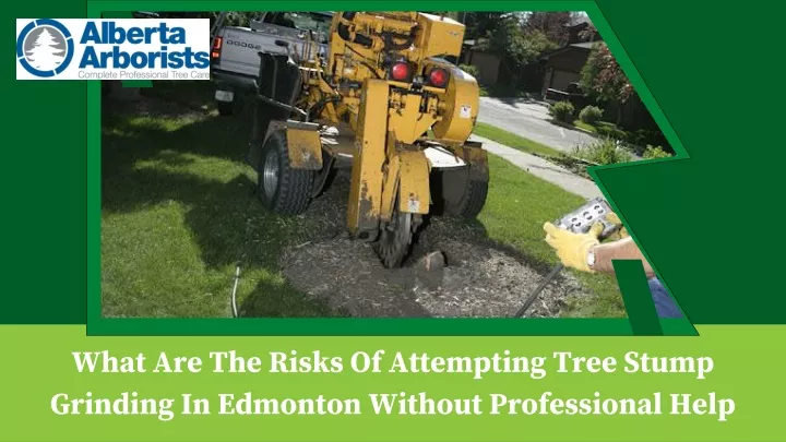 what are the risks of attempting tree stump