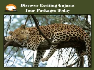 Discover Exciting Gujarat Tour Packages Today