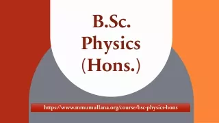 b sc physics hons