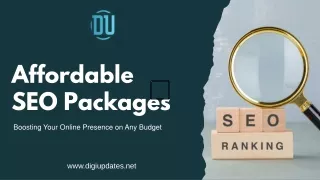 Budget-Friendly SEO Packages