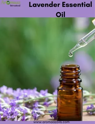 Lavender Oil for Skin  Benefits and Uses