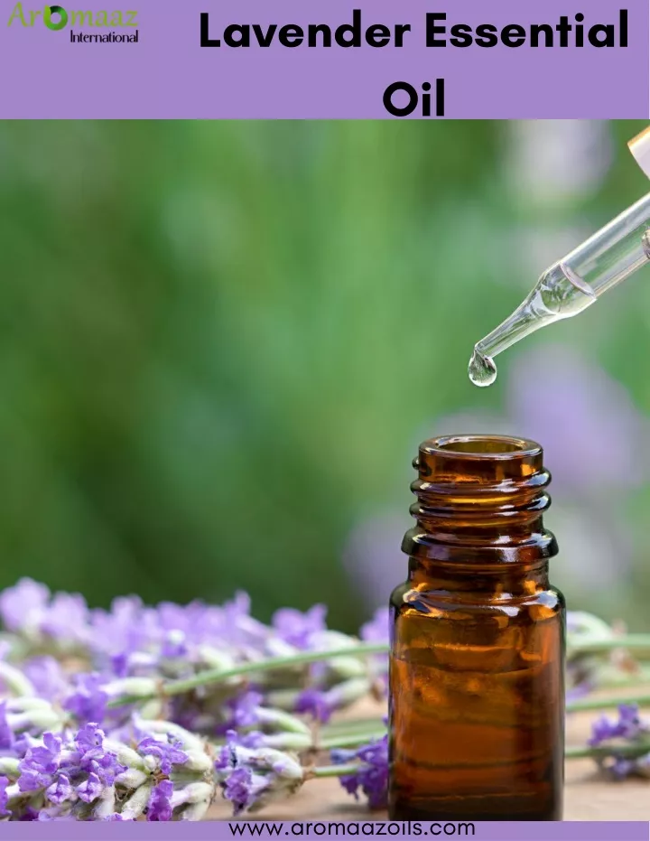 lavender essential oil