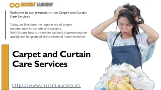 Carpet and Curtain Care Services in Delhi NCR