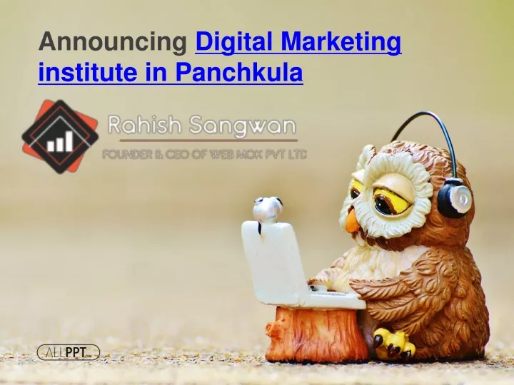 announcing digital marketing institute