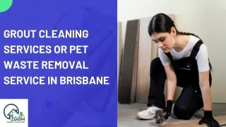 Grout Cleaning Services or Pet Waste Removal Service in Brisbane