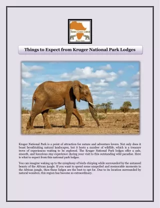 Things to Expect from Kruger National Park Lodges