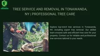 Tree Service and Removal in Tonawanda, NY