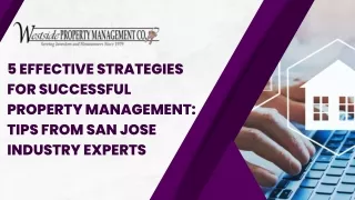 5 effective strategies for successful property