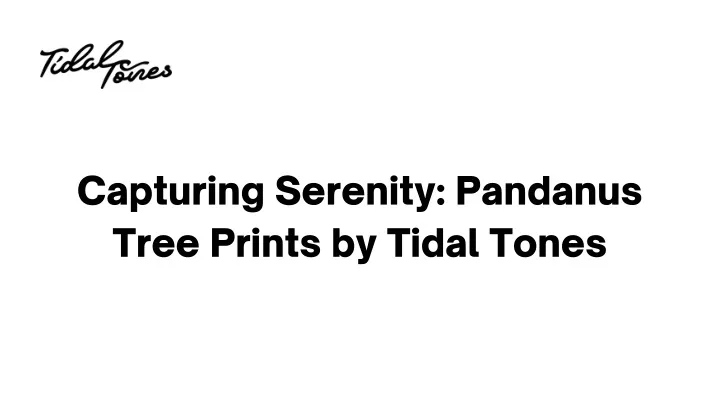 capturing serenity pandanus tree prints by tidal
