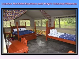 Luxurious Tent Safari Experience amid Kenya's Untouched Wilderness