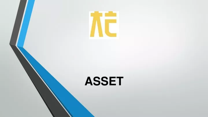 asset