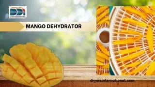 Mango Dehydrator