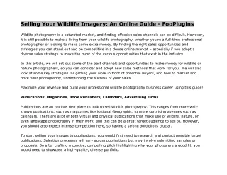 Selling Your Wildlife Imagery An Online Guide - FooPlugins