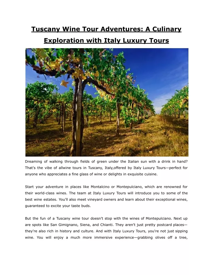 tuscany wine tour adventures a culinary