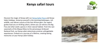 Kenya safari tours