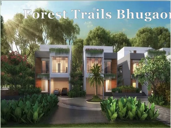 forest trails bhugaon