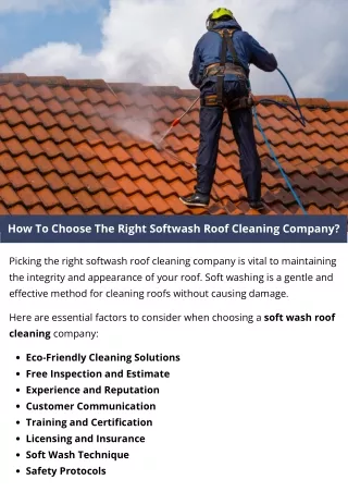 How To Choose The Right Softwash Roof Cleaning Company?