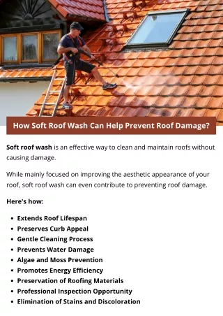How Soft Roof Wash Can Help Prevent Roof Damage?