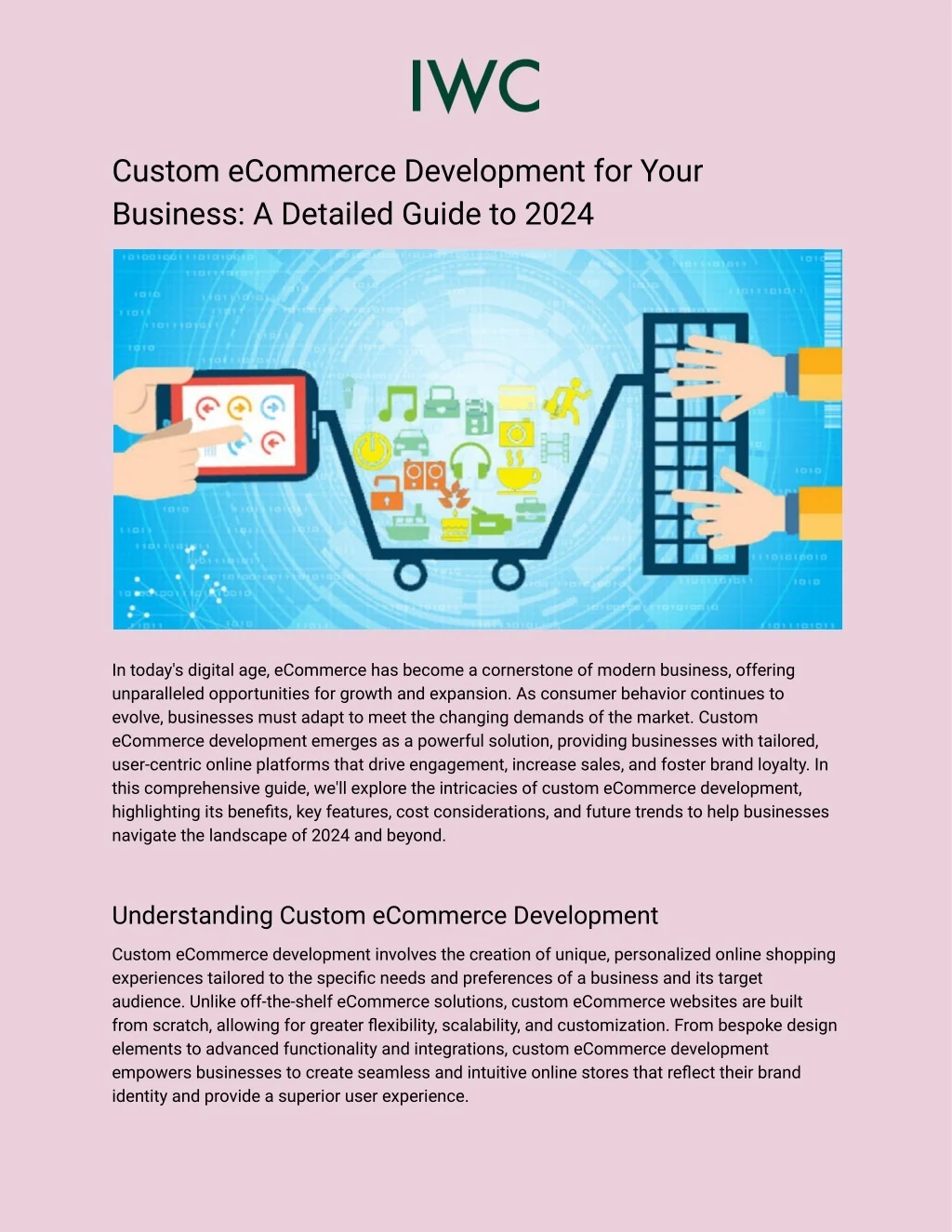 PPT - Custom eCommerce Development for Your Business_ A Detailed Guide ...