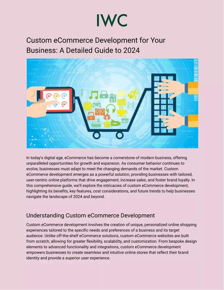 custom ecommerce development for your business