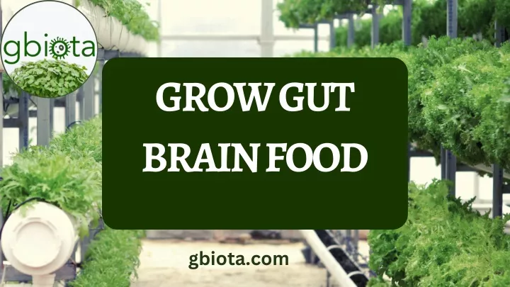 grow gut brain food