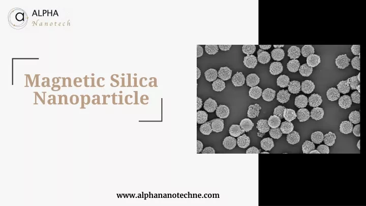 magnetic silica nanoparticle