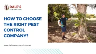 HOW TO CHOOSE THE RIGHT PEST CONTROL COMPANY?