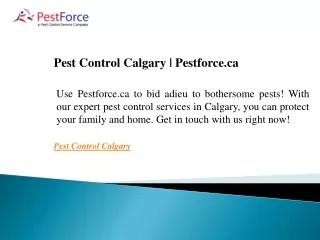 Pest Control Calgary  Pestforce.ca