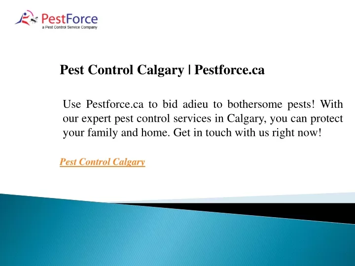 pest control calgary pestforce ca