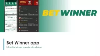 Bet-Winner-app